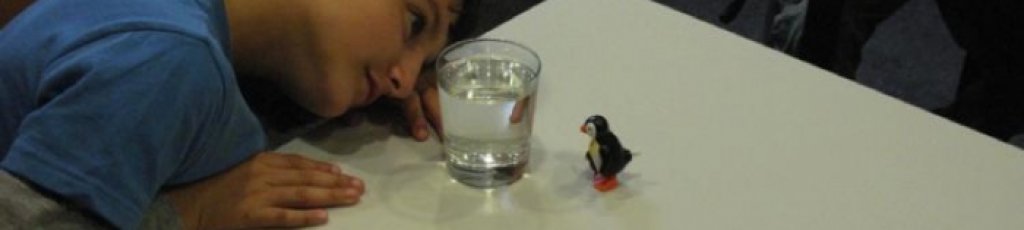 prow_seefeld_11__18_20111017_1534835882