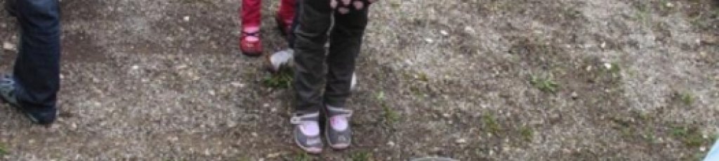 prow_seefeld_11__20_20111017_1983144562