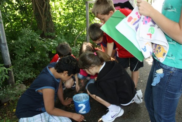 postenlauf_13_20120623_1859707376