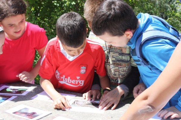 postenlauf_20_20120623_1433752964