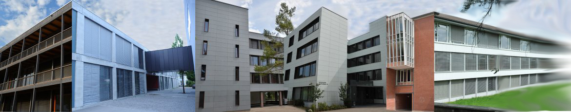 Hasel - Seefeld - Zentrum