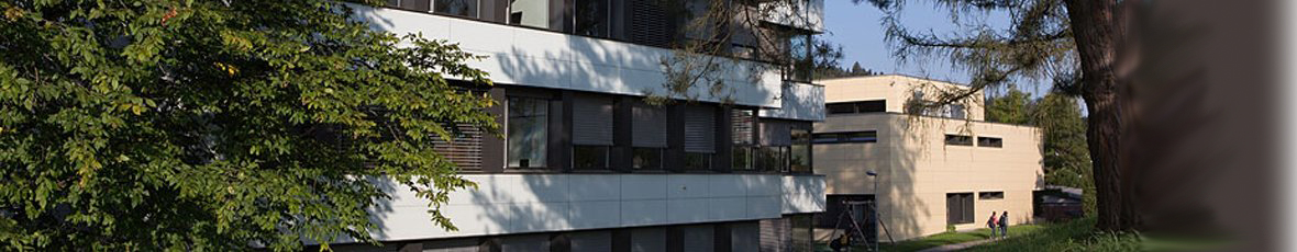 Hauflaendli - Glattler