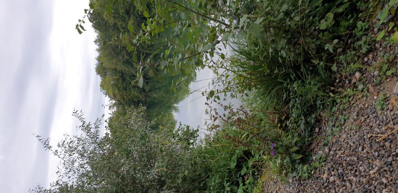 Herbstwanderung1 800