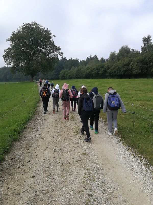 Herbstwanderung1 800