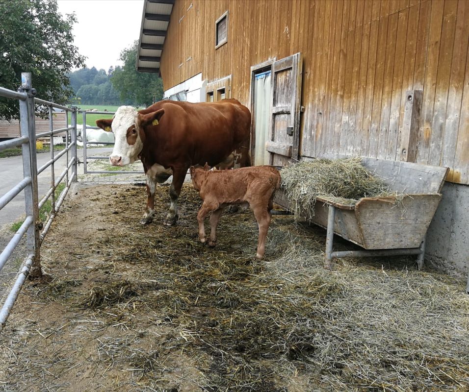 Herbstwanderung3 800