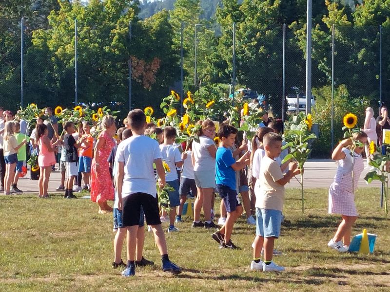 IMG 20220808 WA0015 800