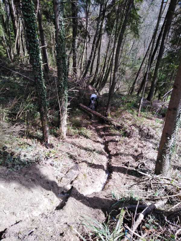 IMG 20210406 092129 2