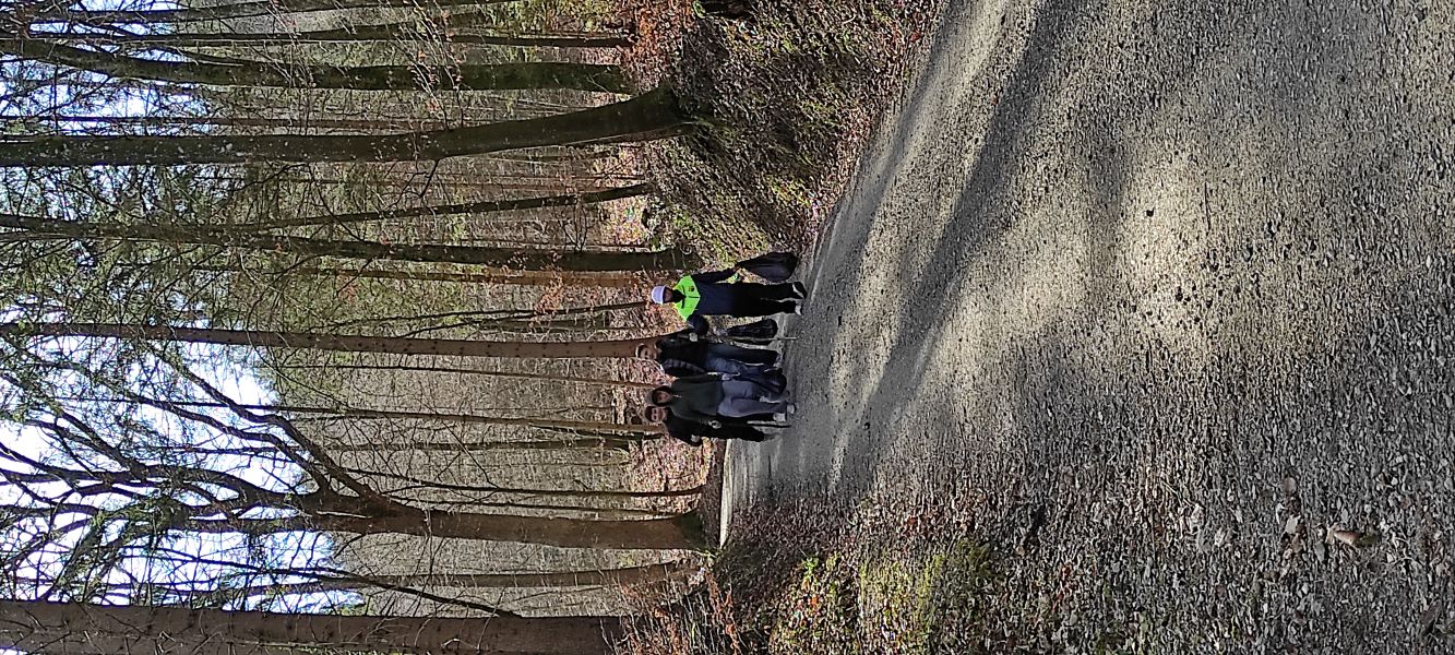 IMG 20230318 102818 600